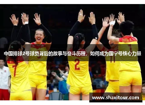 中国排球2号球员背后的故事与奋斗历程，如何成为国字号核心力量