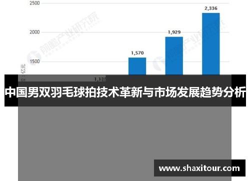 中国男双羽毛球拍技术革新与市场发展趋势分析